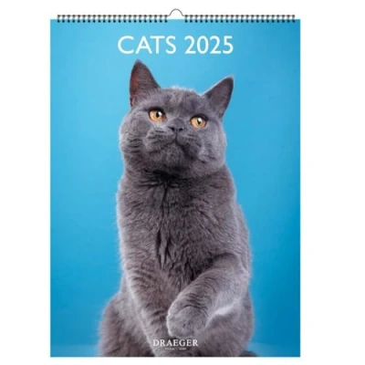 Afbeelding van Decoratieve wandkalender, 29 x 39 cm, 2025, januari tot december katten