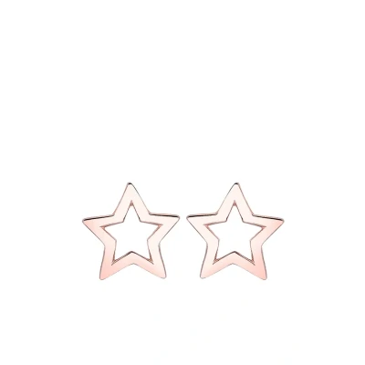Afbeelding van Elli Oorbellen, Dames, Maat: One Size, Roségoldfarben