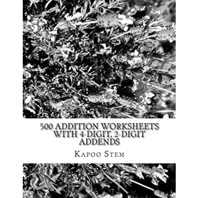 Afbeelding van 500 Addition Worksheets With 4 digit, 2 digit Addends