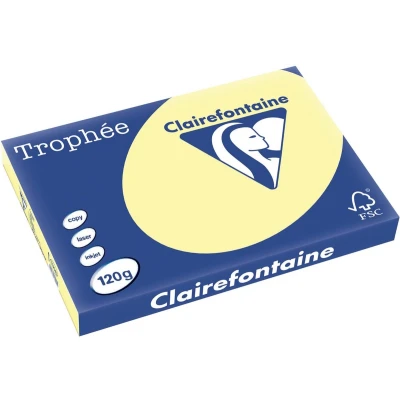Afbeelding van Clairefontaine Trophée Pastel, Gekleurd Papier, A3, 120 G, 250 Vel, Kanariegeel Papier