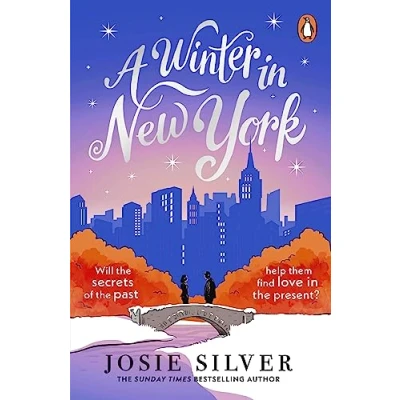 Afbeelding van A Winter in New York