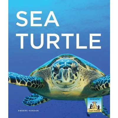 Afbeelding van Sea Turtle
