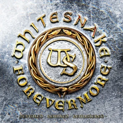 Afbeelding van Whitesnake Forevermore (2 LPs)
