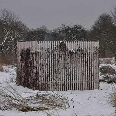 Afbeelding van Drowse Light Mirror (LP)