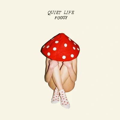 Afbeelding van Quiet Life Foggy (LP)