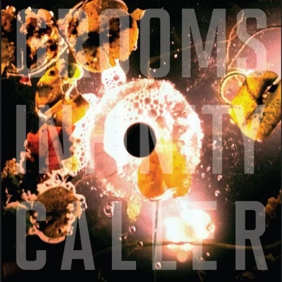 Afbeelding van Grooms Infinity Caller (CD)
