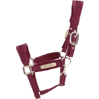 Afbeelding van Velvet halster bordeaux pony