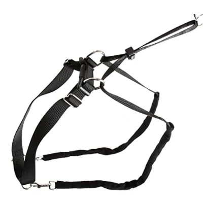 Afbeelding van Kerbl Anti Trekband Maxi Leader Zwart 25 30cm