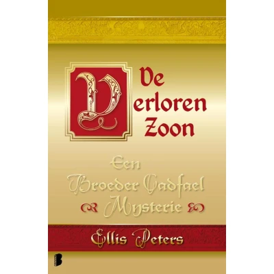 Afbeelding van De verloren zoon