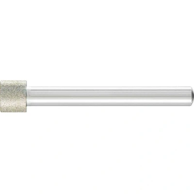 Afbeelding van PFERD 36010010 Schuurpen Diameter 10 mm 1 stuk(s)