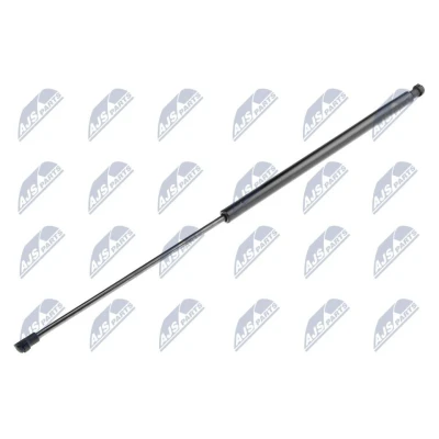 Afbeelding van NTY AE CT 001 Gasveer achterklep 400 656