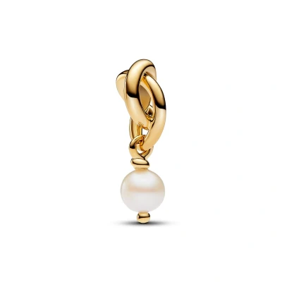 Afbeelding van Pandora Moments 14 Karat Gold Plated Charm 763462C06