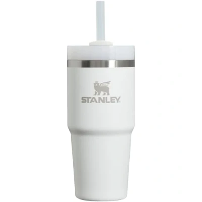 Afbeelding van Stanley Quencher FlowState H2.0 Thermosbeker van roestvrij staal met deksel en rietje voor water, thee of ijskoffie, smoothies nog veel meer, lichtgrijs (Frost), 415 ml