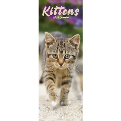 Afbeelding van Kittens Slimline Kalender 2026