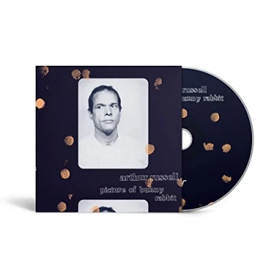 Afbeelding van Arthur Russell Picture Of Bunny Rabbit (CD)