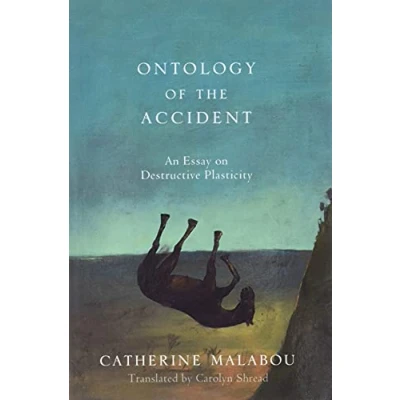 Afbeelding van Ontology Of The Accident