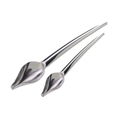 Image de Lot de 2 cuillères plumes à décoration pâtissière Jean Daudignac ref 0601050