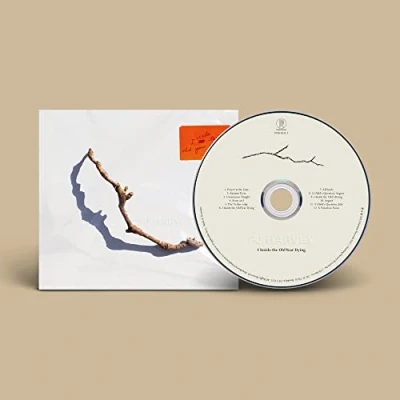 Afbeelding van PJ Harvey I Inside The Old Year Dying (CD)