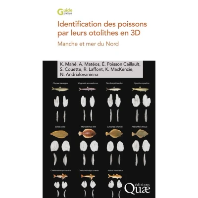 Image de Identification des poissons par leurs otolithes en 3D