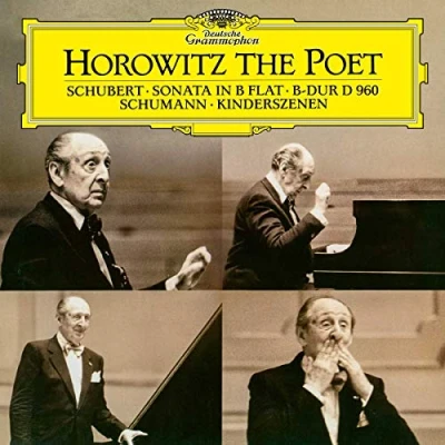 Afbeelding van Vladimir Horowitz The Poet (LP)
