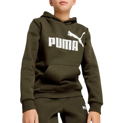Afbeelding van Puma Essential Hoodie Junior