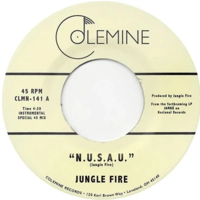 Afbeelding van Jungle Fire N.U.S.A.U. (7&quot; Vinyl Single)