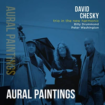 Afbeelding van David Chesky Aural Paintings (CD)