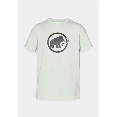 Afbeelding van Mammut CORE Classic Tshirt print silvercoloured sage, Heren, Maat: Medium, Silver/coloured sage
