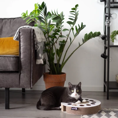 Afbeelding van District70 Kattenspeelgoed Whirl Wit