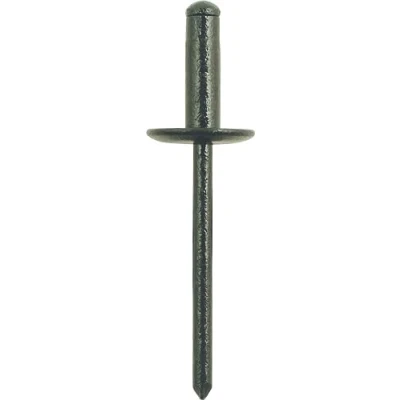 Afbeelding van KS Tools, Voertuig gereedschap, Dichtingsnagel met 12mm flens universeel, pak van 10