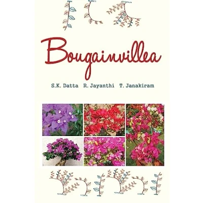 Afbeelding van Bougainvillea
