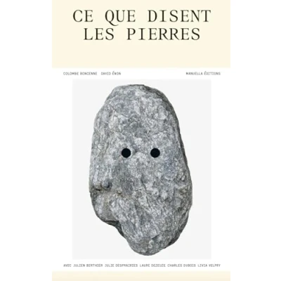 Afbeelding van CE QUE DISENT LES PIERRES
