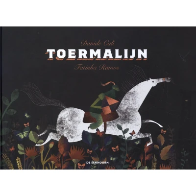 Afbeelding van Toermalijn
