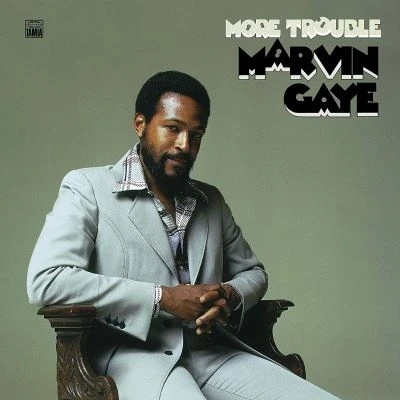 Afbeelding van Marvin Gaye More Trouble
