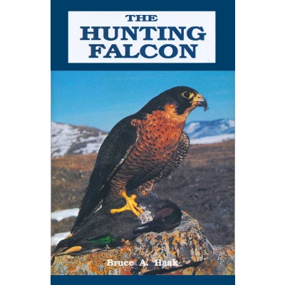 Afbeelding van Hunting Falcon