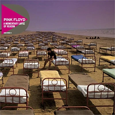 Image de A Momentary Lapse of Reason