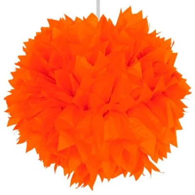 Afbeelding van Pompom oranje per stuk