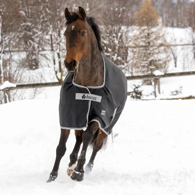 Image de Bucas Anniversary Turnout Stay Dry 150g Black/Silver