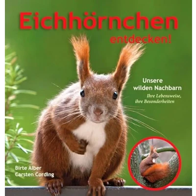 Afbeelding van Eichhörnchen entdecken!