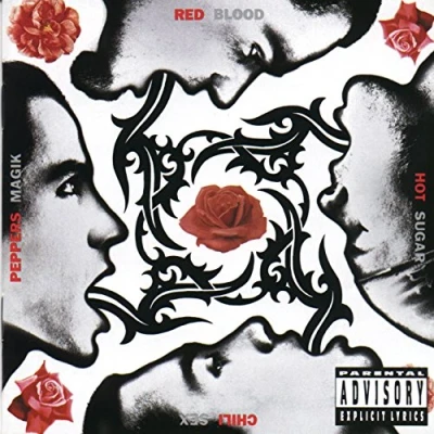 Afbeelding van Red Hot Chili Peppers Blood Sugar Sex Magik (2 LPs)
