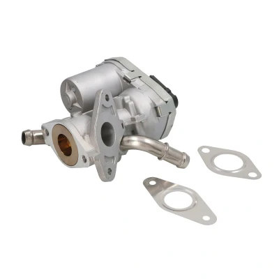 Afbeelding van NGK 90300 EGR klep Electrisch Met AGR koeler, pakkingen FORD: Transit Mk6 Van, Minibus
