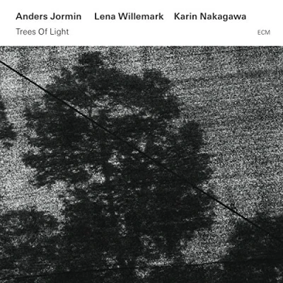 Afbeelding van Anders Jormin, Lena Willemark, Karin Nakagawa Trees Of Light (CD)
