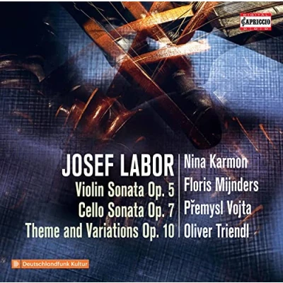 Afbeelding van Nina Karmon Floris Mijnders Premysl Vojta Violin Sonata, Op. 5 Cello 7 Theme (CD)