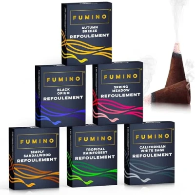Afbeelding van Fumino Natuurlijke Zelfgemaakte Wierook Kegelwierook Essentiële Set van 6 dozen 90 Backflow Masala Agarbatti Joss Kegels voor Ontspanning en Meditatie, Huisdecoratie