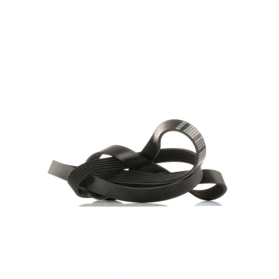 Afbeelding van Febi Bilstein Poly V riem 28968