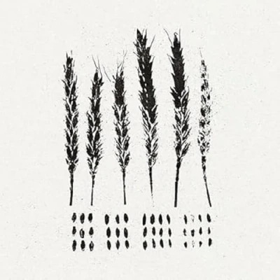 Afbeelding van Lo! Gleaners (LP)