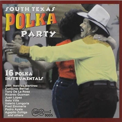 Afbeelding van SOUTH TEXAS POLKA PARTY