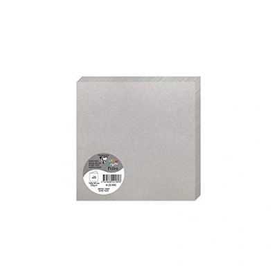 Afbeelding van Clairefontaine 22189C verpakking met 25 dubbele kaarten vierkant formaat (16 x 16 cm) 210 g/m² kleur zilver uitnodigingen gebeurtenissen en overeenstemming pollen serie premium papier glad