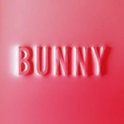 Afbeelding van Matthew Dear Bunny (LP)