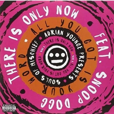 Afbeelding van Adrian Younge &amp; Souls Of Mischief There Is Only Now (7&quot; Vinyl Single)